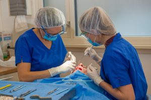Implantaatbehandeling bij Kiesz Oosterhout